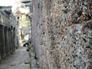 柬埔寨古老斑驳的石墙小巷