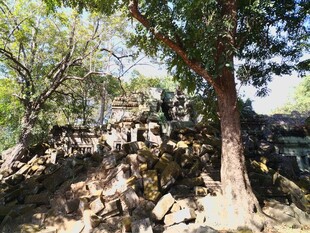 柬埔寨古老石堆旁的茂盛树木