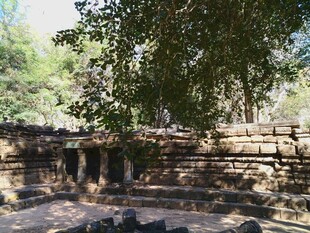 柬埔寨古老石砌建筑 绿荫环绕