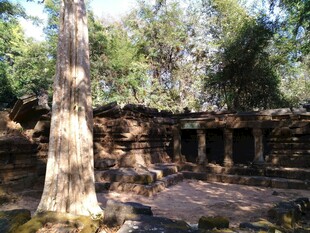 柬埔寨古老树林中的神秘石砌建筑