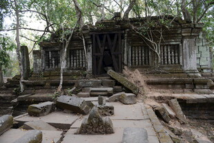 柬埔寨古老寺庙被树根缠绕遗迹