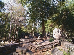 柬埔寨古老遗址中的石堆与树木