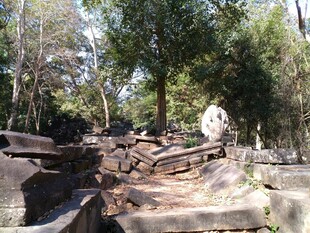 柬埔寨古老石景 丛林中的遗迹