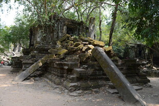 柬埔寨古老废墟被树木缠绕