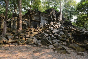 柬埔寨古老丛林中的废墟遗迹