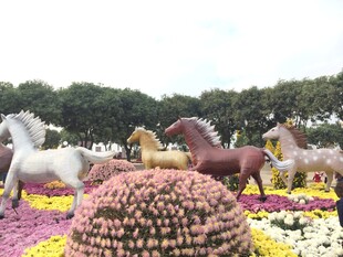 多彩花卉雕塑的梦幻景观