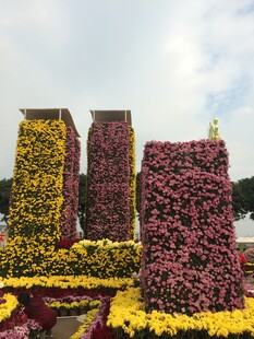 繁花堆砌的绚丽景观