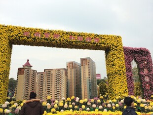 花海框架下的城市景观