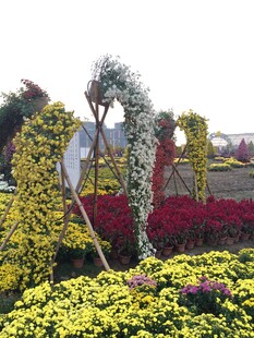 花卉拱门造型景观