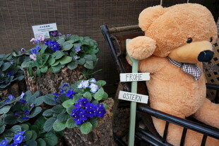 泰迪熊与花丛中的标牌