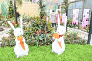草地上的可爱兔子装饰