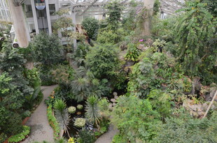 室内绿植景观 生机盎然