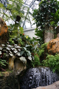 室内绿植瀑布景观