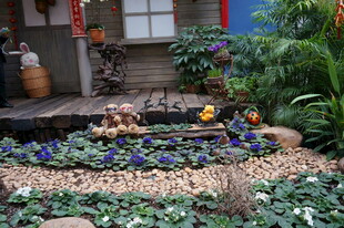 庭院角落的多彩植物景观