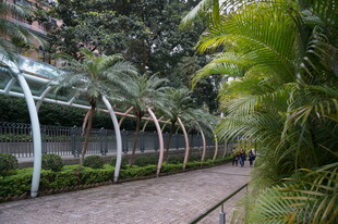 温室中的绿植景观通道