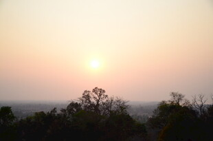 日落时分的树梢景色