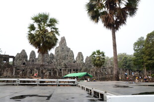 吴哥窟古老建筑与棕榈树