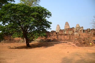 古老庙宇旁的绿树