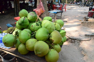 街头待售的新鲜青椰子
