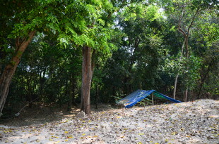 森林中的露营帐篷