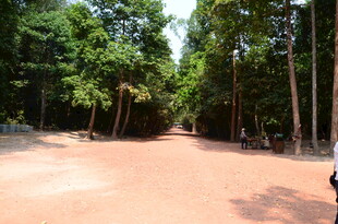 林间红土路 静谧自然景