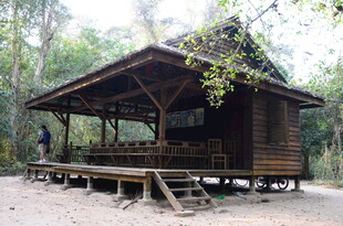 林中木质小屋 静谧闲适