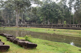 古老池塘边的静谧风景
