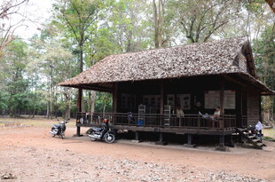 乡村木质茅草屋 宁静氛围