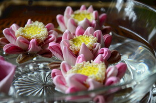 玻璃盘中的娇艳粉色莲花