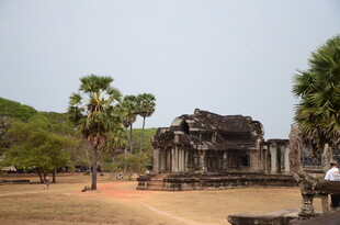 古老寺庙与周边棕榈树景观