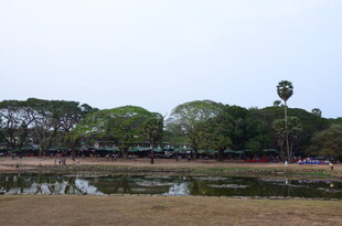 湖畔绿树成荫的休闲场景