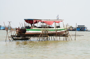 水上停泊的特色船只