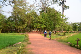 乡间小路上的徒步者