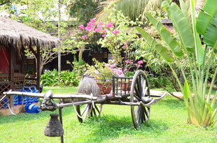 田园庭院中的古朴景观