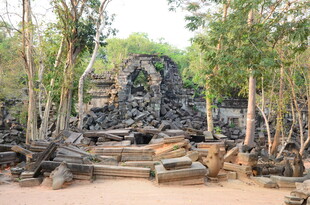 古老石构遗迹隐于丛林