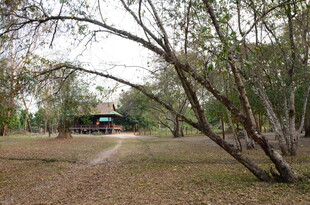 林间小道旁的静谧小屋