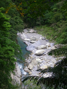 山间溪流穿林而过
