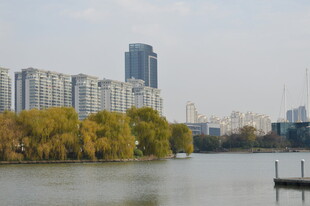 湖畔城市风光
