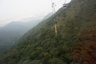 山间索道穿行于葱郁山林