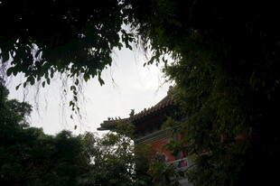 古建隐于繁茂绿植间