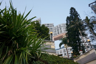 城市绿植旁的建筑景观