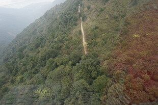 山间蜿蜒小路 绿意盎然