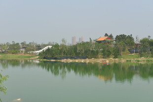 湖畔风光 静谧自然景致
