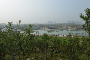 俯瞰绿植环绕的城市景观