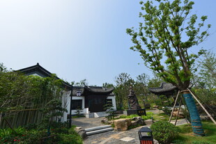 中式庭院景致