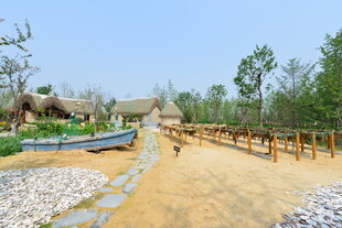 乡村户外休闲游玩场景