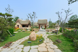 田园小屋旁的石板小径
