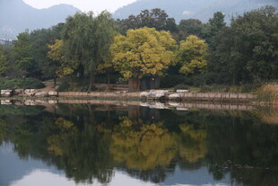 湖畔秋景 林木倒映于碧水