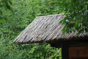 林间草顶小屋