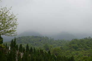 山间云雾缭绕的绿意景致